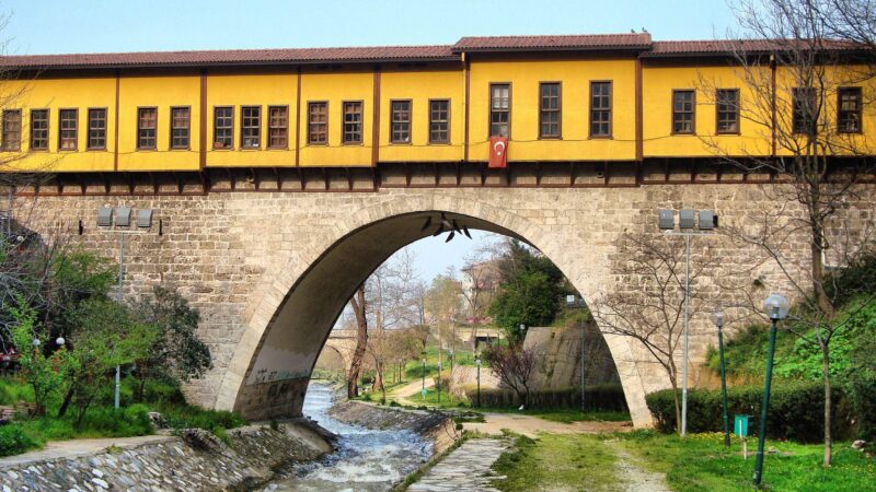 Bursa Ulu Cami ve Uludağ manzaralı seyahat fotoğrafı